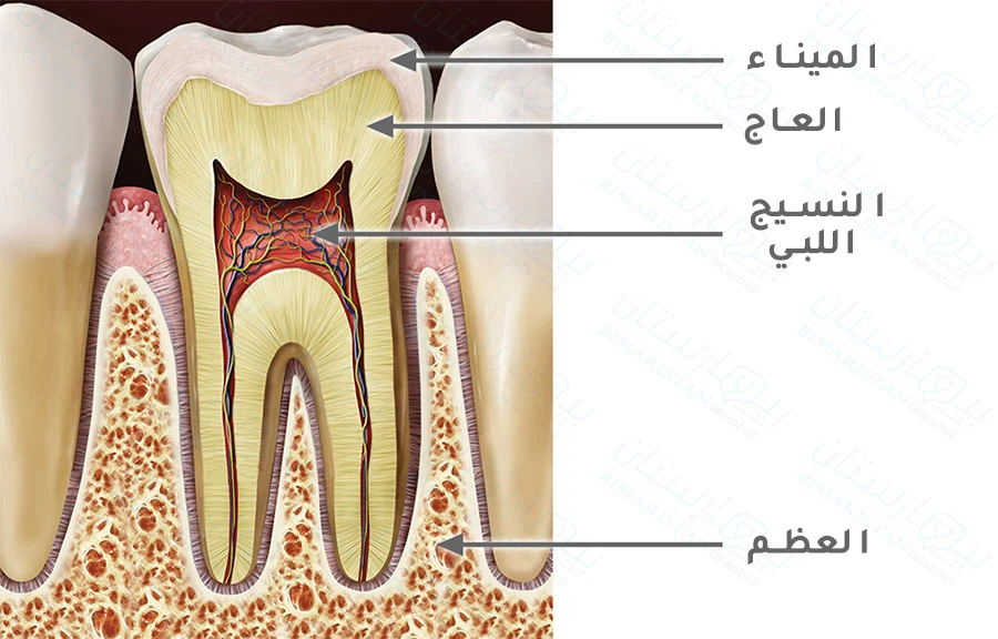 علاج جذور الأسنان في تركيا