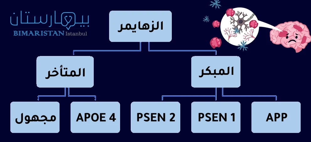 أثناء البحث عن أسباب الزهايمر المبكر عند الشباب وجد الباحثون أن المصابين بمرض الزهايمر المبكر لديهم الطفرات App-Psen 1-Psen 2 أما المصابين بالزهايمر المتأخر فقد يكون لديهم الطفرة Apoe 4 أو قد يكون السبب مجهولاً