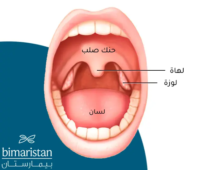 صورة توضح أين تقع اللوز