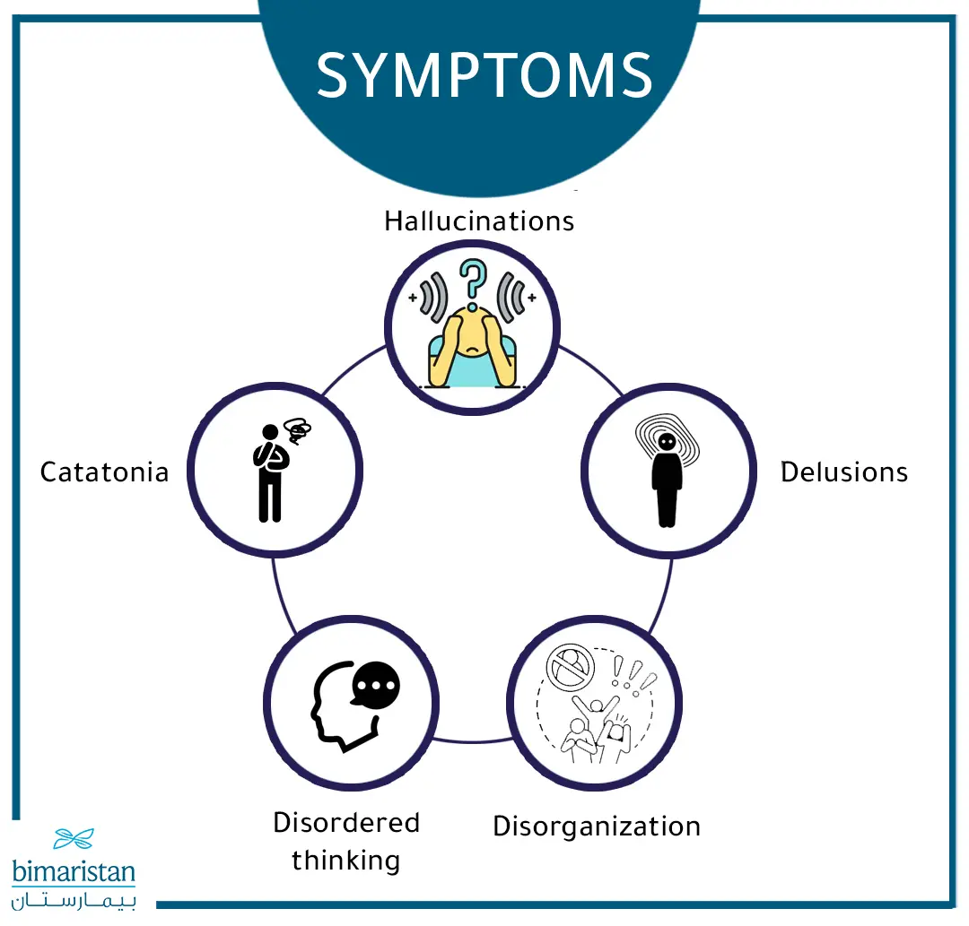 A Diagram Illustrating The Symptoms Of Psychosis.