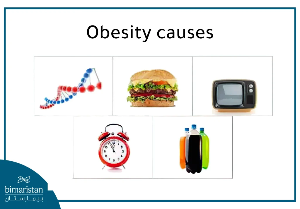 Causes Of Excessive Obesity And Treatment Methods 3 Top Causes Of Excessive Obesity