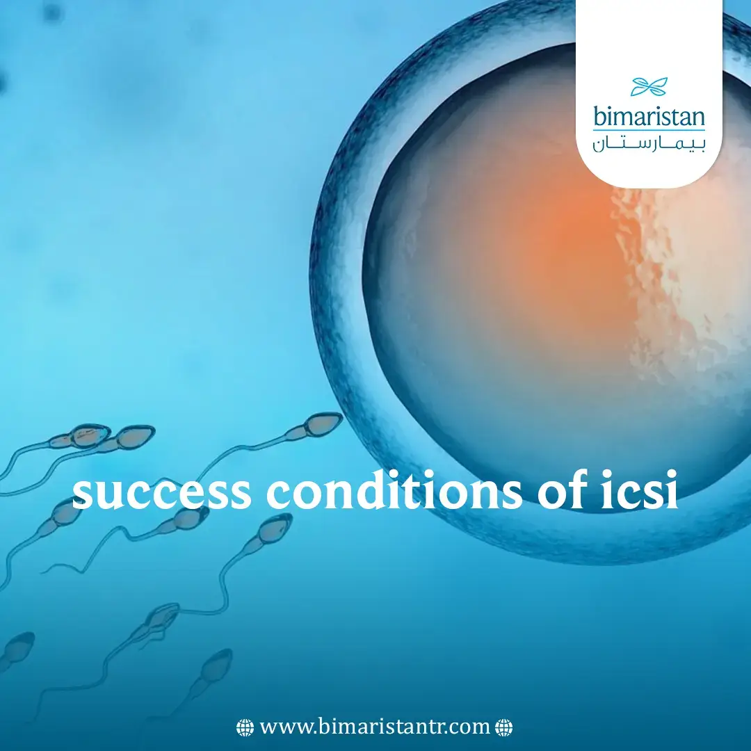 Success Conditions Of Icsi