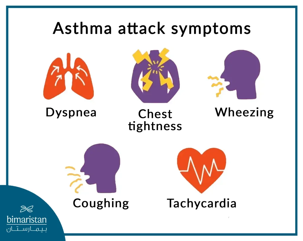 The Most Important Symptoms Of Bronchial Asthma, Which Appear In The Form Of Acute Attacks