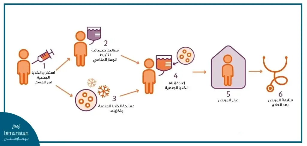 صورة توضح كيفية علاج التصلب اللويحي عبر نقل الخلايا الجذعية