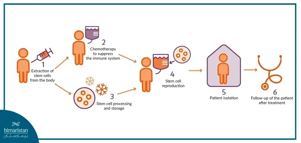 Image Showing How Multiple Sclerosis Treatment Is Performed By Stem Cell Transplantation