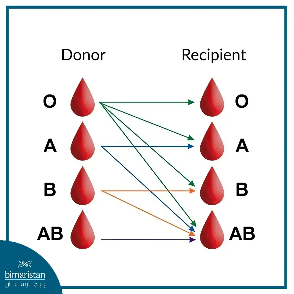 Blood Compatibility In Kidney Transplant Surgery