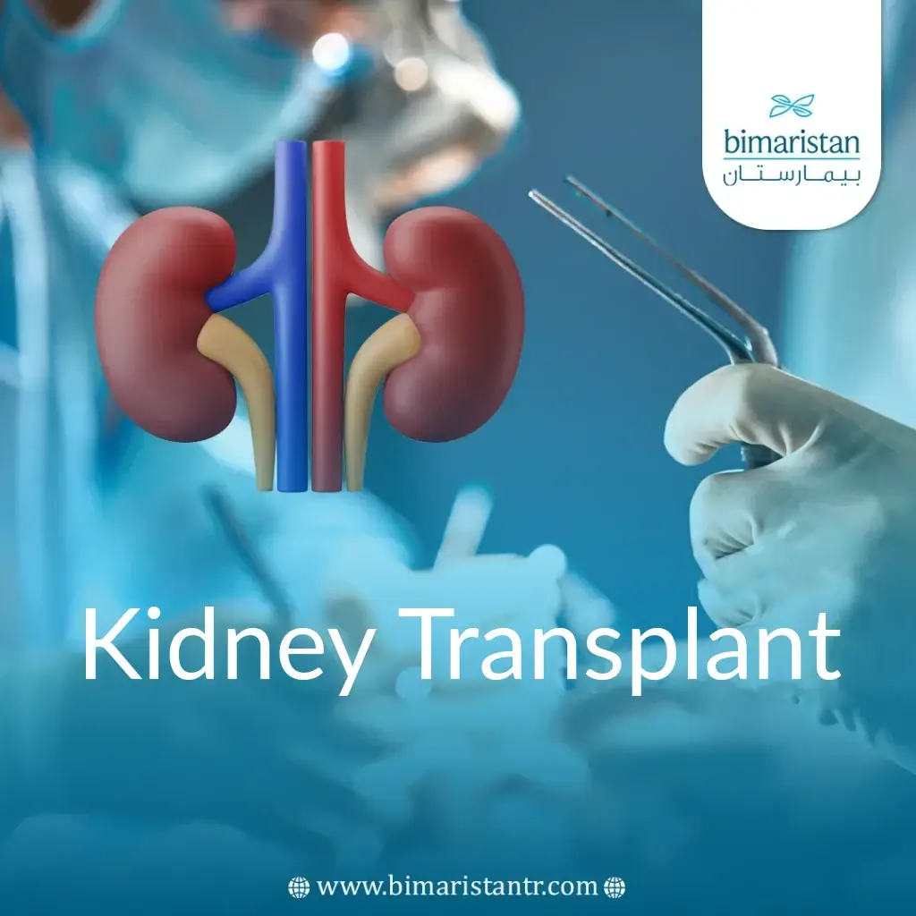 Kidney Transplant In Turkey