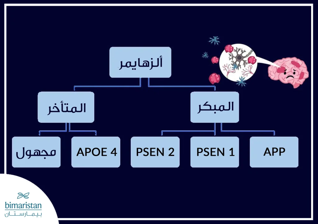 أثناء البحث عن أسباب الزهايمر المبكر عند الشباب وجد الباحثون أن المصابين بمرض الزهايمر المبكر لديهم الطفرات App-Psen 1-Psen 2 أما المصابين بالزهايمر المتأخر فقد يكون لديهم الطفرة Apoe 4 أو قد يكون السبب مجهولاً