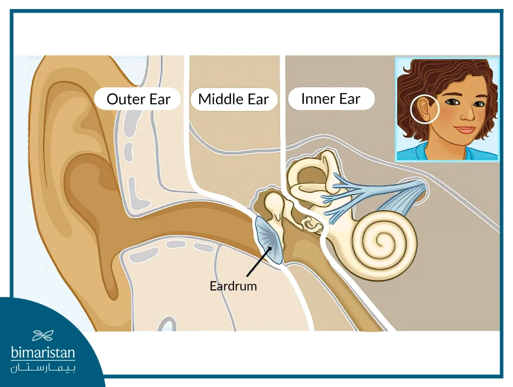 Image Showing The Parts Of The Ear And Its Anatomy