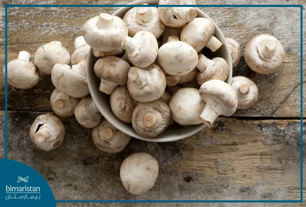 فطر الزر الأبيض White Button Mushroom