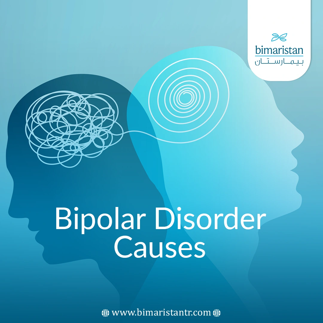 Bipolar Disorder Causes