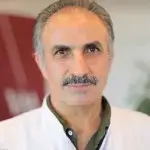 Prof. Dr. Mehmet Bulut