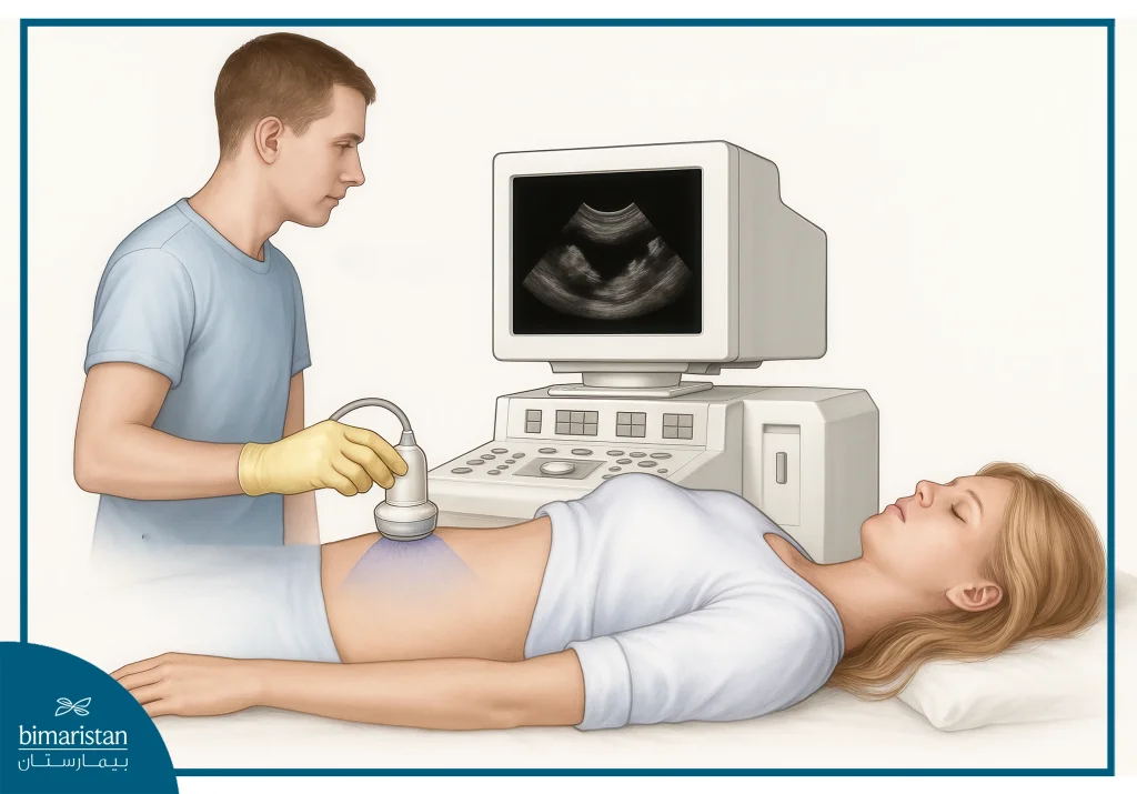 Kidney Disease 3 Renal Ultrasound