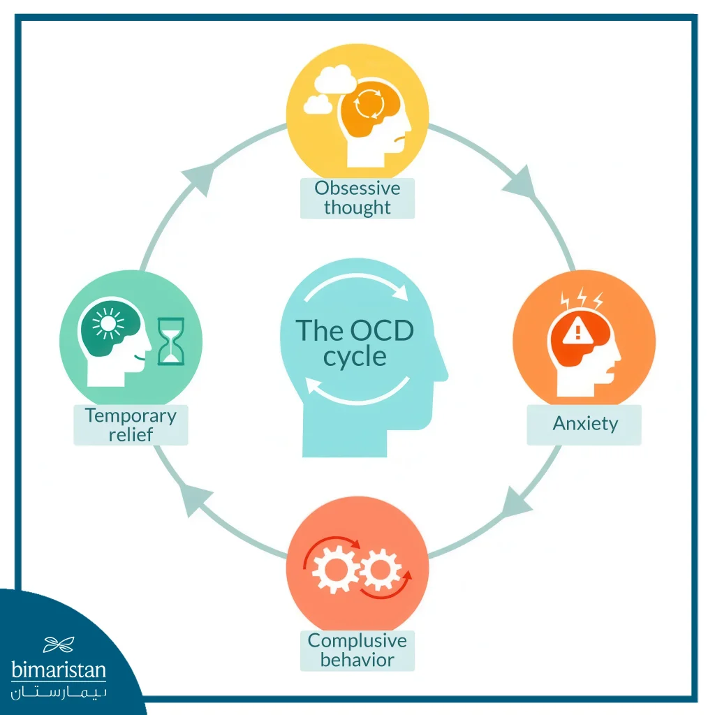 Obsessive Compulsive Disorder: Discover Its Types And Associated Symptoms 3 Obsessive Compulsive Disorder (Ocd) Cycle