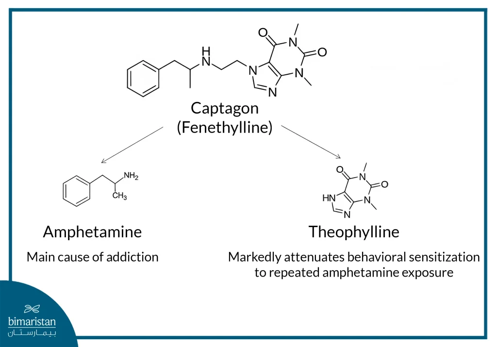 Captagon Addiction Guide: Everything You Need To Know &Amp; Step-By-Step Treatment 3 Image Showing The Ingredients Of Captagon