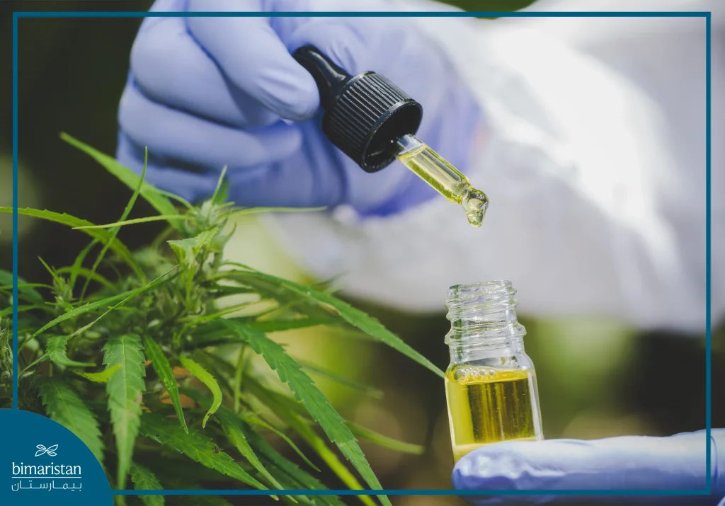 What Is Cannabis?