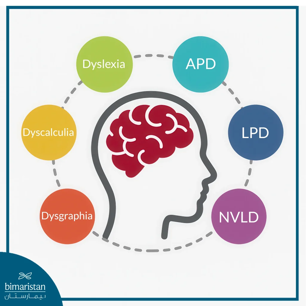 Learning Disabilities: Causes, Symptoms &Amp; Effective Treatment Guide 3 Types Of Learning Disabilities: A Scientific Categorization Of Cognitive Impediments