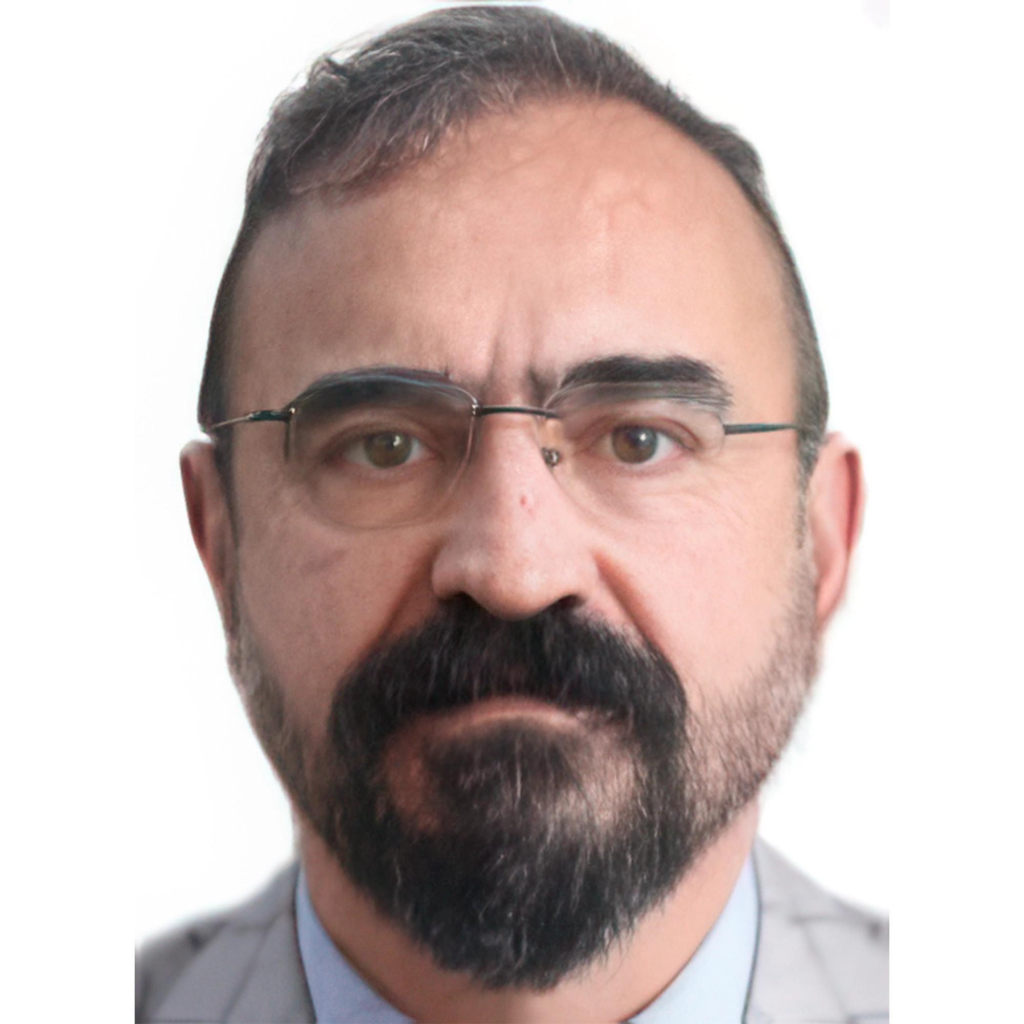 Prof. Dr. Kursat Karadayi