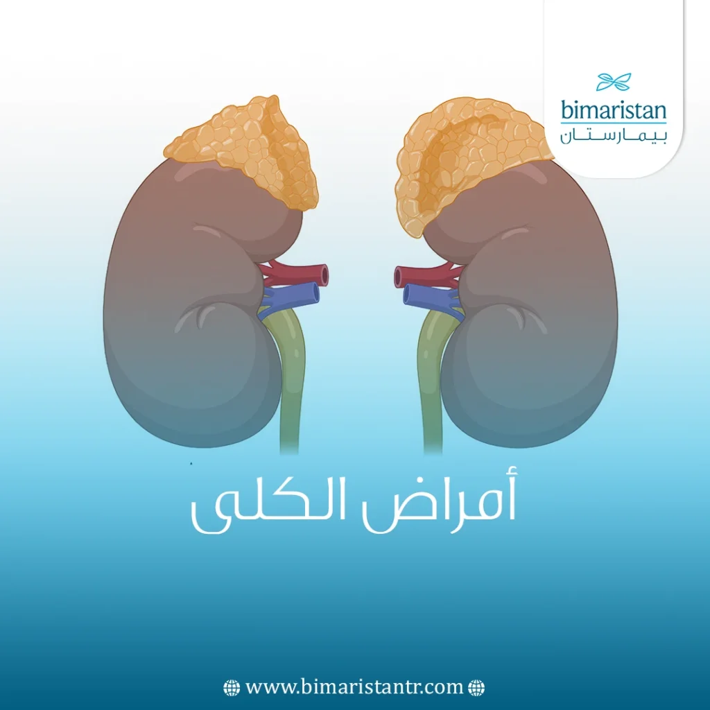 أمراض الكلى