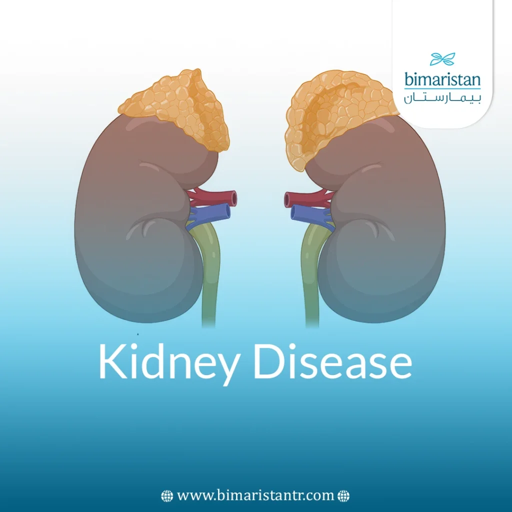 Kidney Disease
