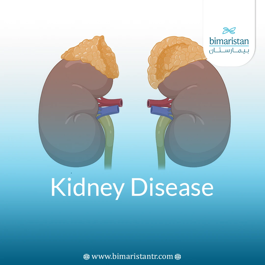 Kidney Disease
