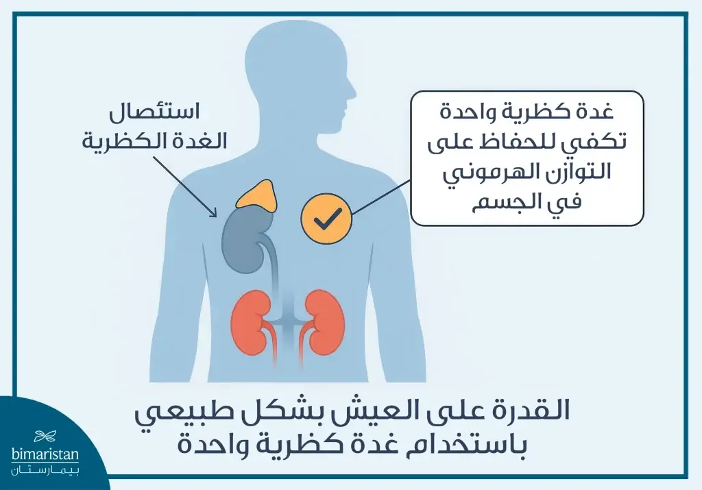 استئصال الكظر: عملية صغيرة بتأثير هرموني كبير 3 القدرة على العيش بعد استئصال الكظر وحيد الجانب