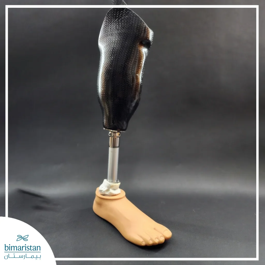 Below-Knee Prosthesis: Types, Parts &Amp; How To Choose 3 Carbon Prosthesis