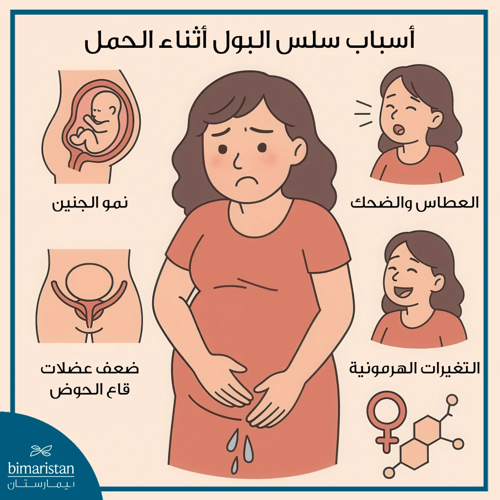 سلس البول أثناء الحمل: الأسباب وطرق العلاج الفعالة 2 أسباب سلس البول أثناء الحمل