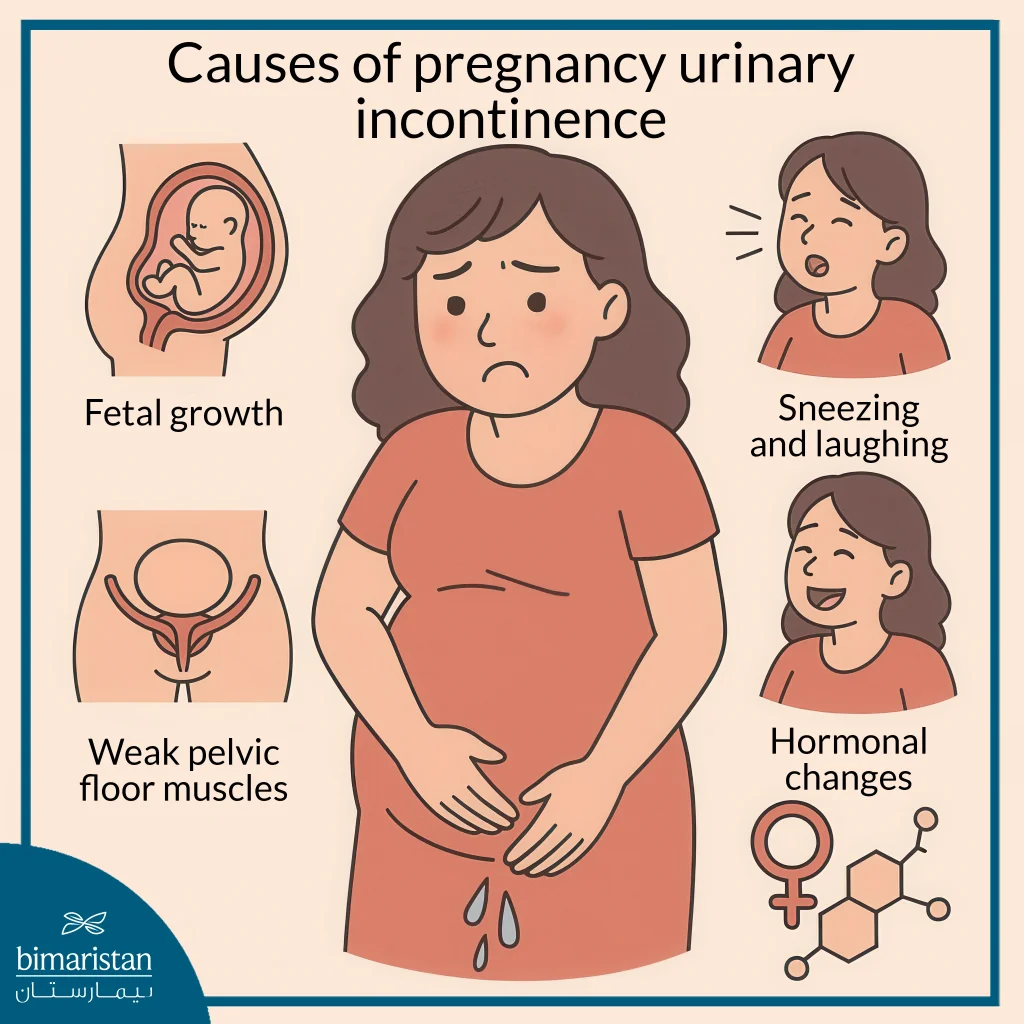 Causes Of Pregnancy Urinary Incontinence