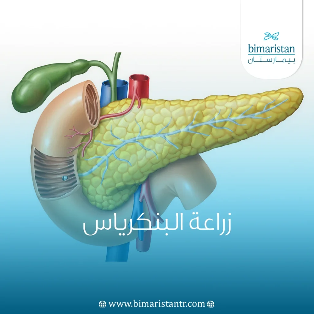 زراعة البنكرياس