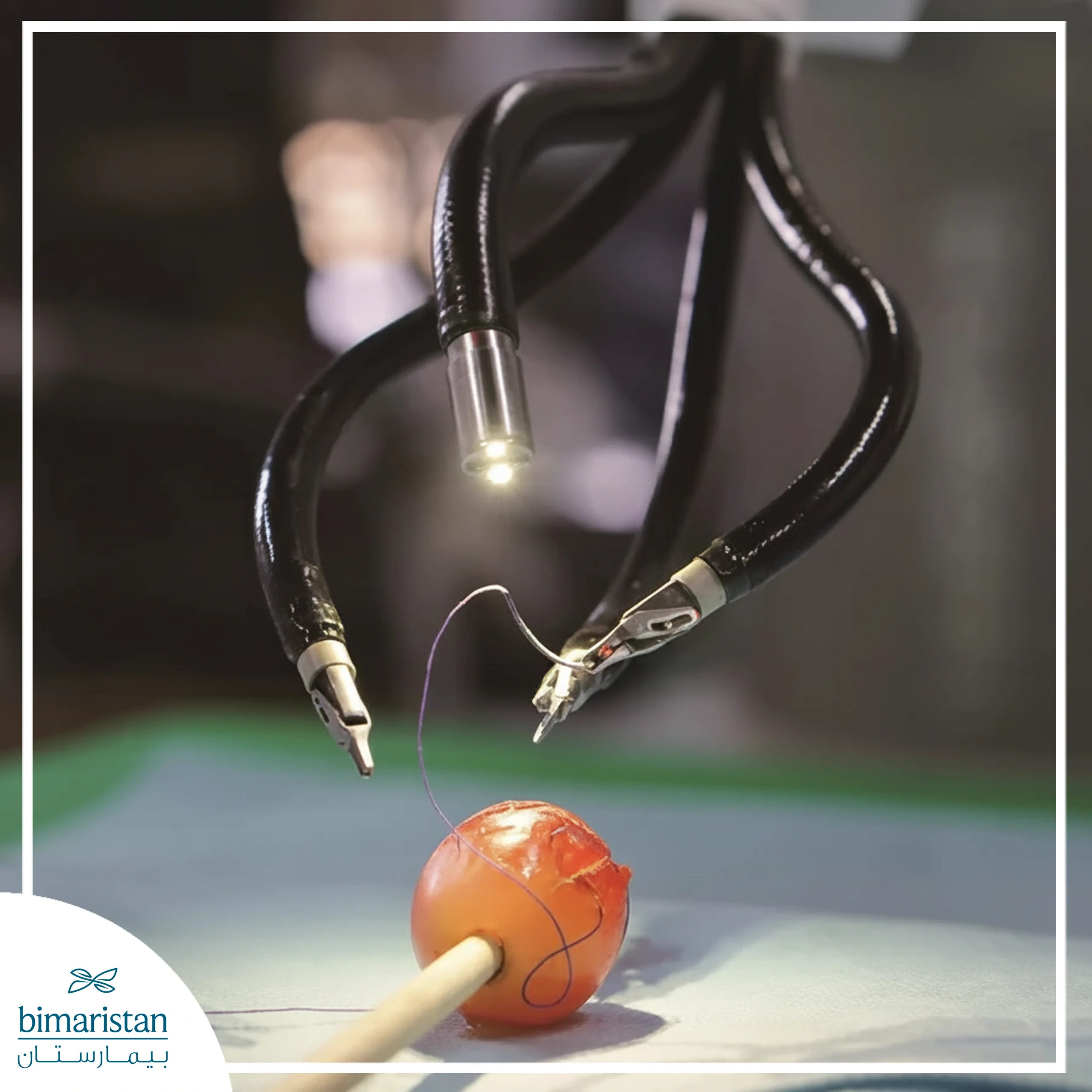 روبوت شوروي ذو المنفذ الوحيد