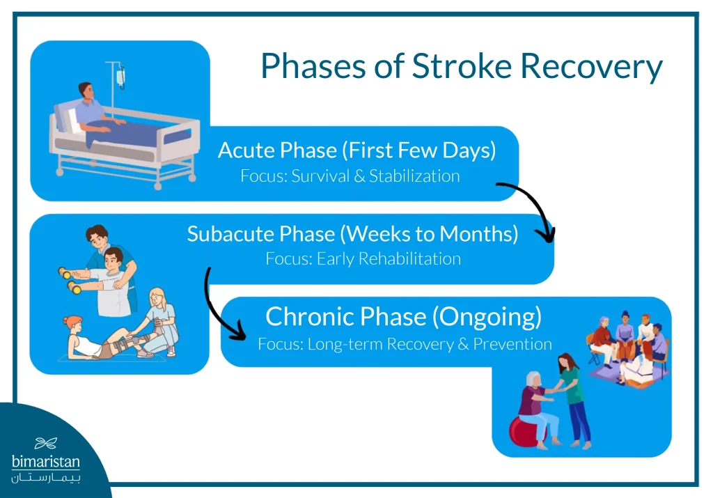 Stroke Rehabilitation: Key Treatment Steps For Mobility And Speech Recovery 3 Phases Of Stroke Recovery
