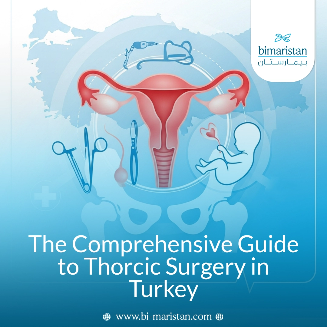Comprehensive Guide To Gynecology Obstetrics In Turkey 6 Comprehensive Guide To Gynecology Obstetrics In Turkey