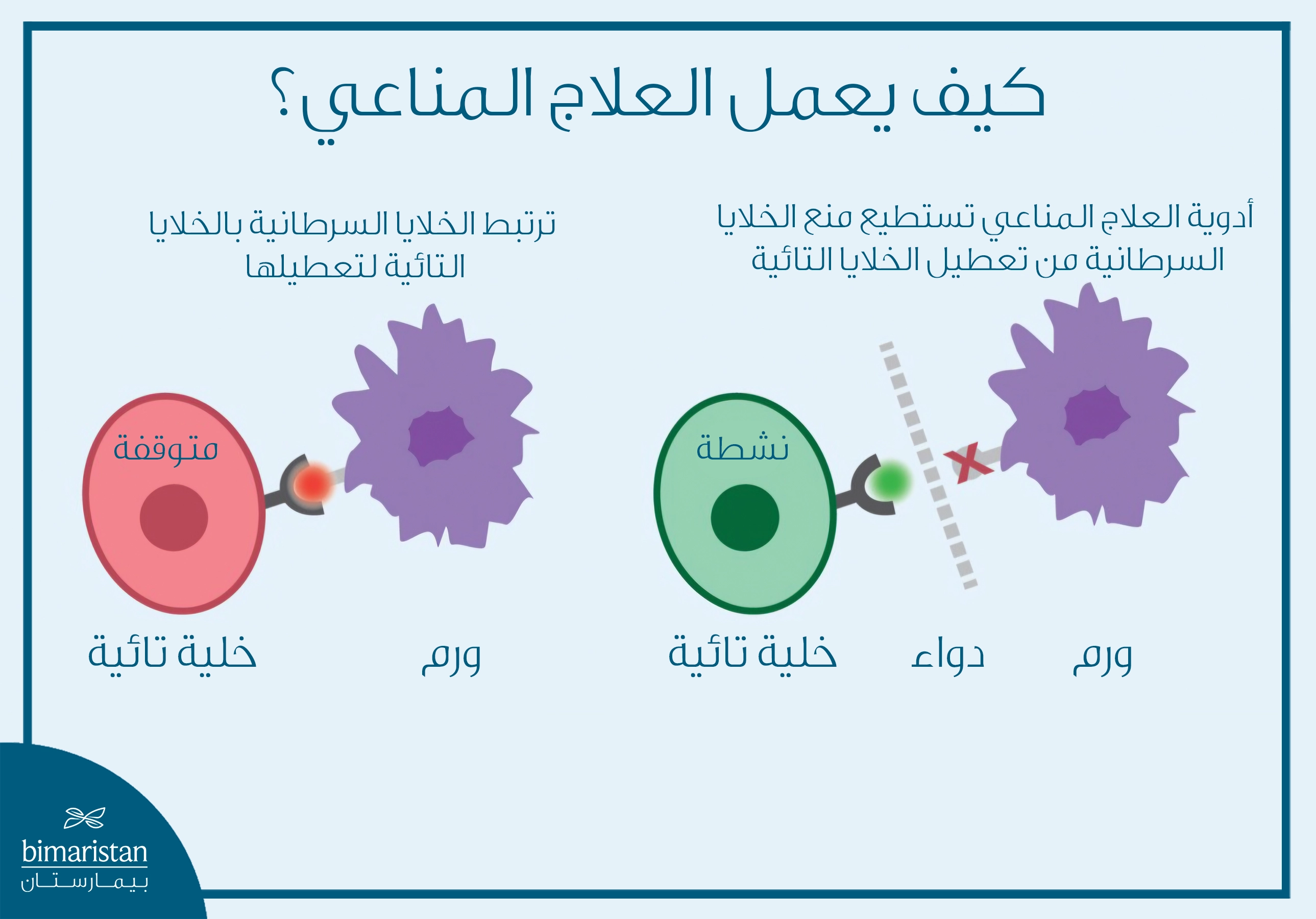 رسم يوضح آلية عمل العلاج المناعي، حيث تعطل الخلايا السرطانية الخلايا التائية، بينما تمنع الأدوية المناعية هذا التعطيل وتُعيد تنشيطها
