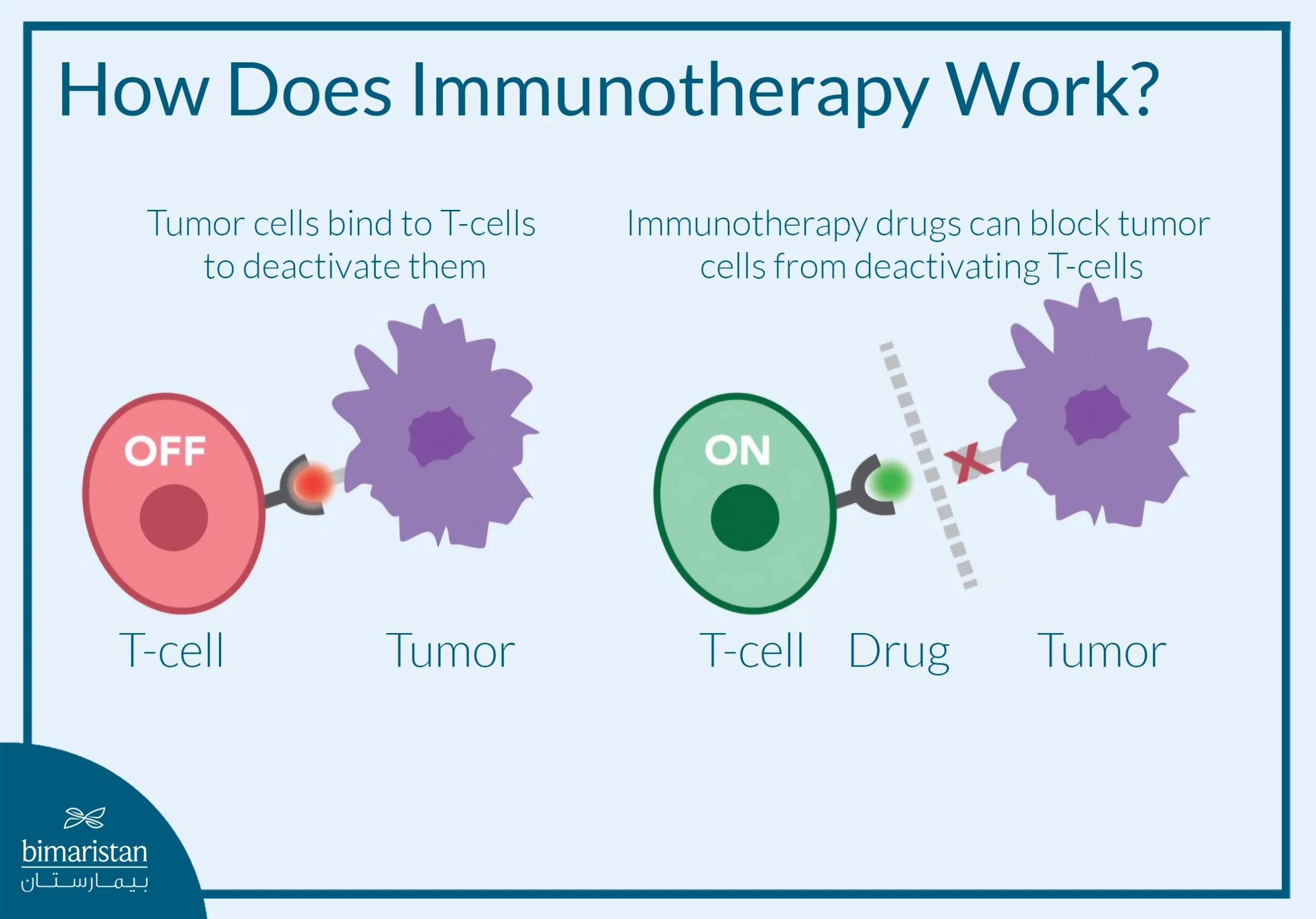 Illustration Showing How Immunotherapy Works By Preventing Tumor Cells From Deactivating T Cells And Restoring Immune Activity