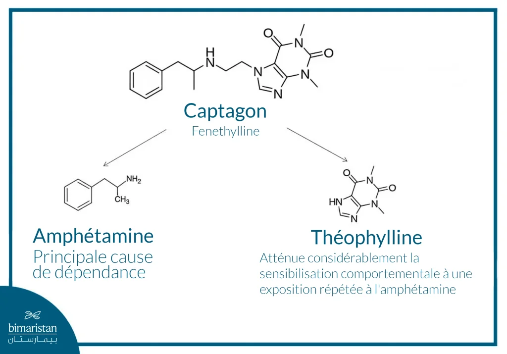 L’addiction Au Captagon